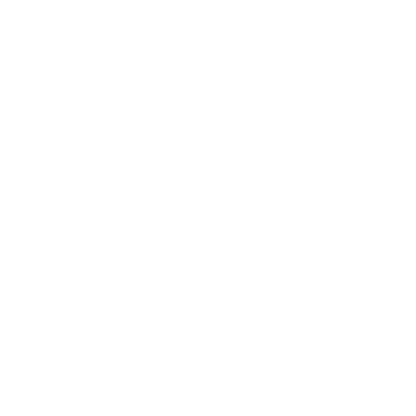 Native Governance Center