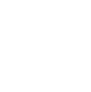 Governor's Council